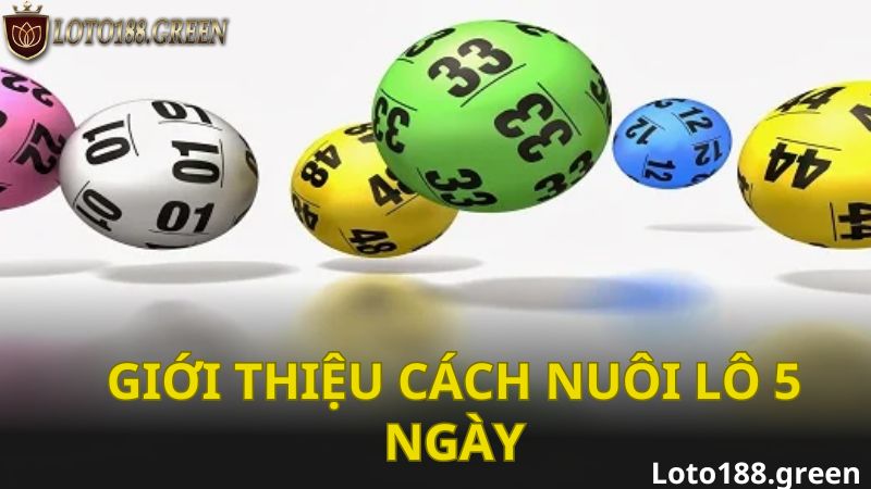 Giới thiệu cách nuôi lô 5 ngày