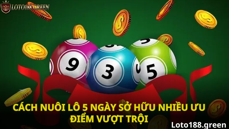 Cách nuôi lô 5 ngày sở hữu nhiều ưu điểm vượt trội