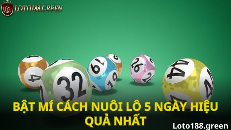 Bật mí cách nuôi lô 5 ngày hiệu quả nhất