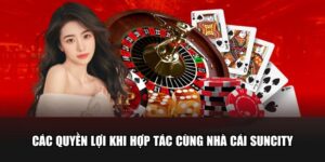 Các quyền lợi khi hợp tác cùng nhà cái Suncity