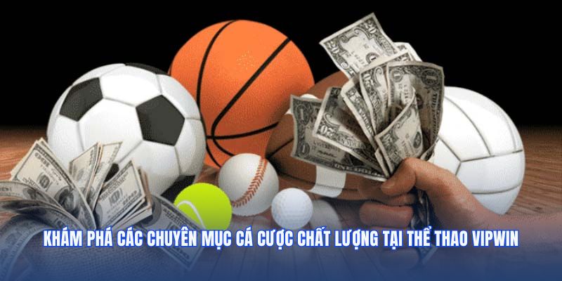 Khám phá các chuyên mục cá cược chất lượng tại thể thao VIPWIN